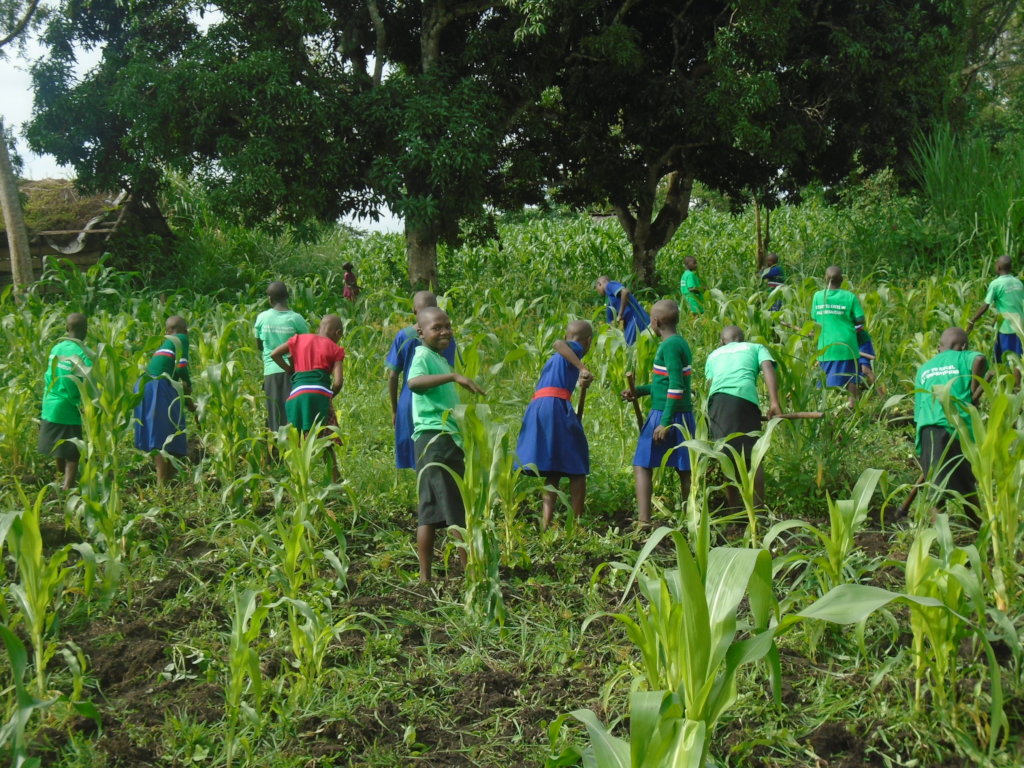 agriculture